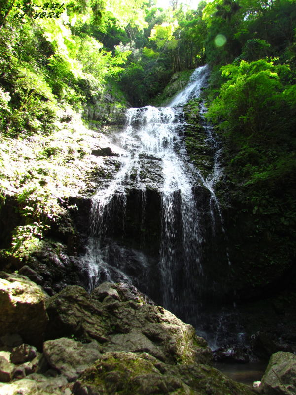 8590��ζ����150517