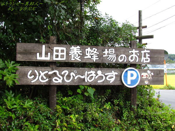 4633������˪��Τ�Ź140920