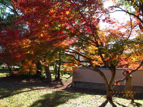 2246残念。。。人が入っちゃった・・・191123