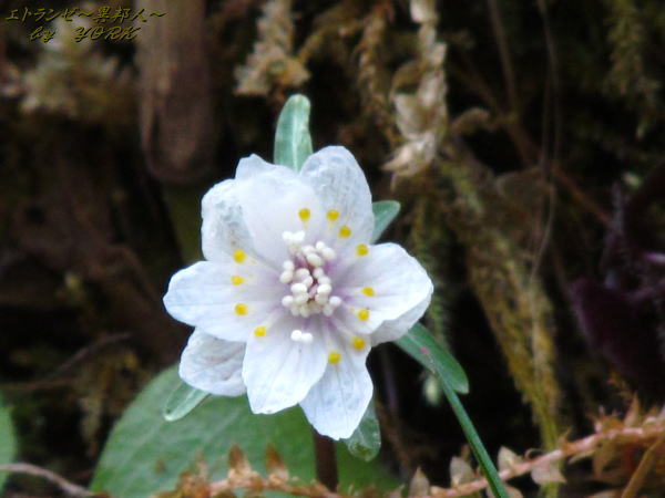 2069��ʬ�����170212