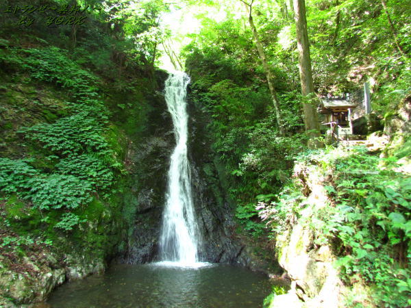 2366������졡�����140727