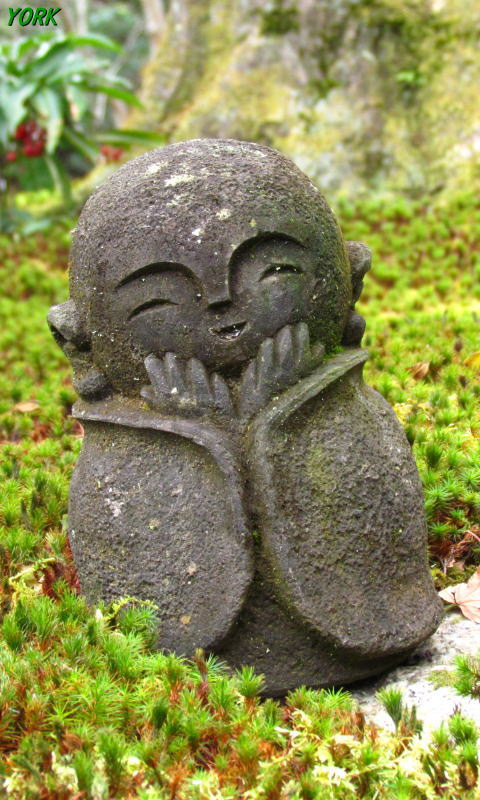 �����ѡ�5854Ԥ�����Τ���¢��480&times;800