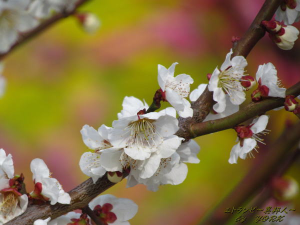 1785����120325