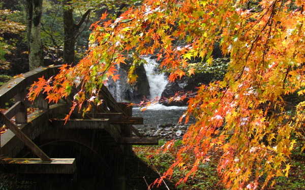 �ɻ桡0468���դȿ�����ư�����1280��800