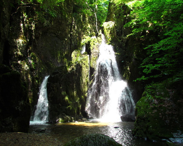 �ɻ桡2288������ư��1280��1024