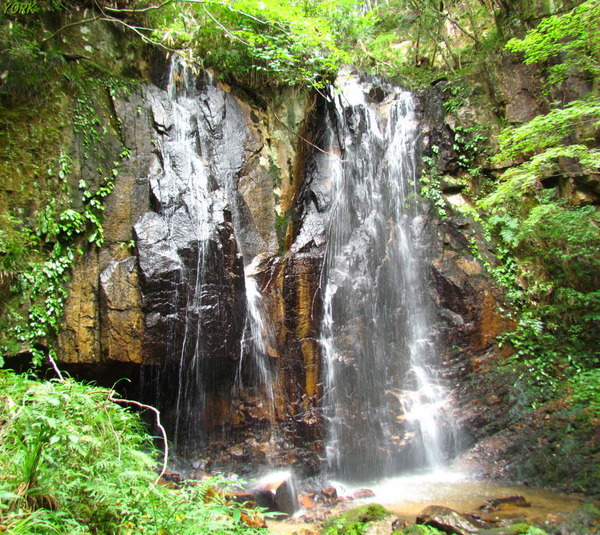 ���ޥ��ѡ�4674�ȥ��������960��854