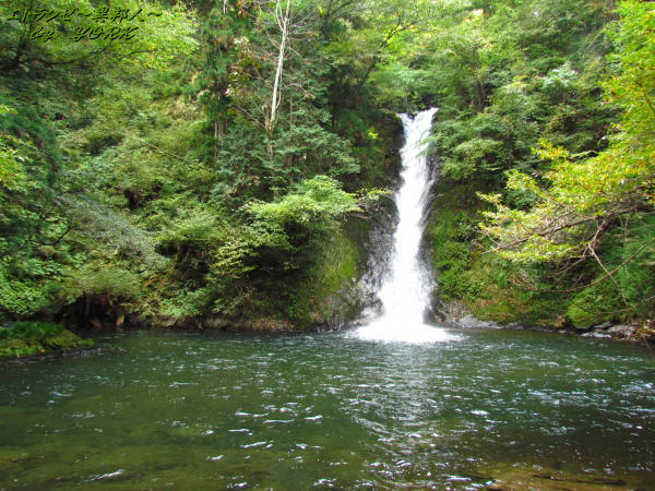 9612������ư������131013