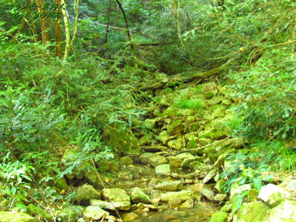 3669���θϤ줿��140914