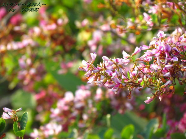 0359��β�111009