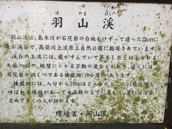 E968DA0E-4844-4FEF-BCF1-BB339AD51F94