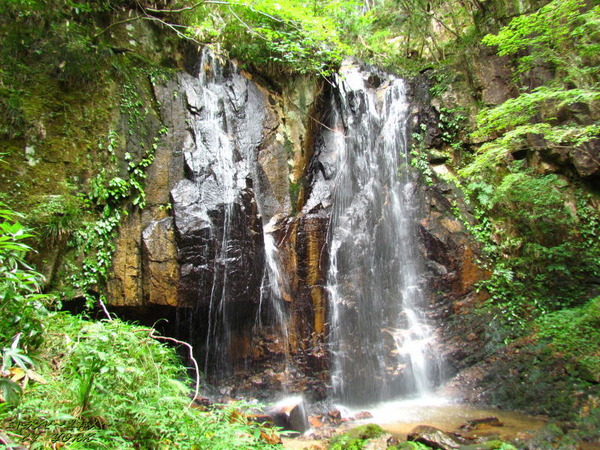 4674�ȥ��������140920