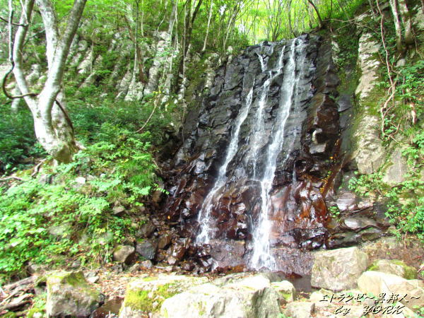 9555����¼����131013