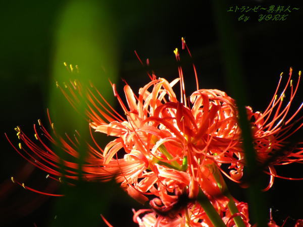 8649�ؼ��130916