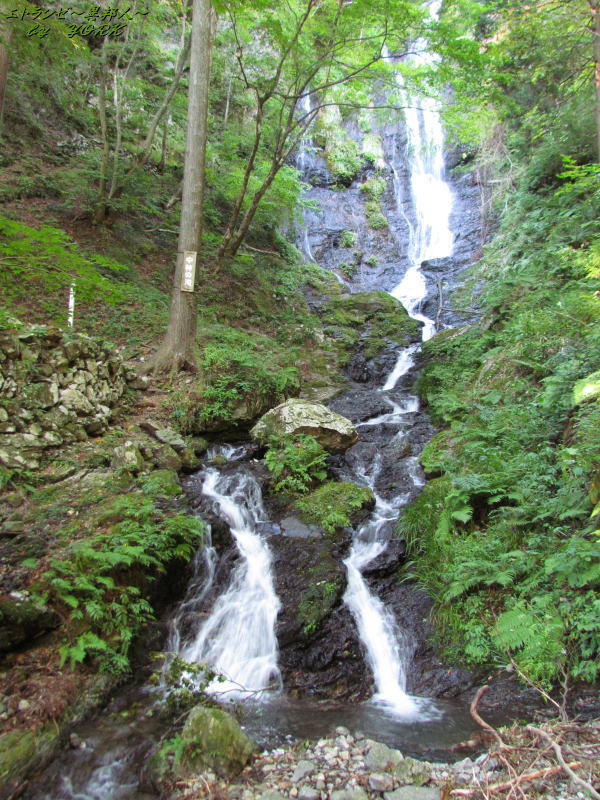 5372���Ӥ�������141019