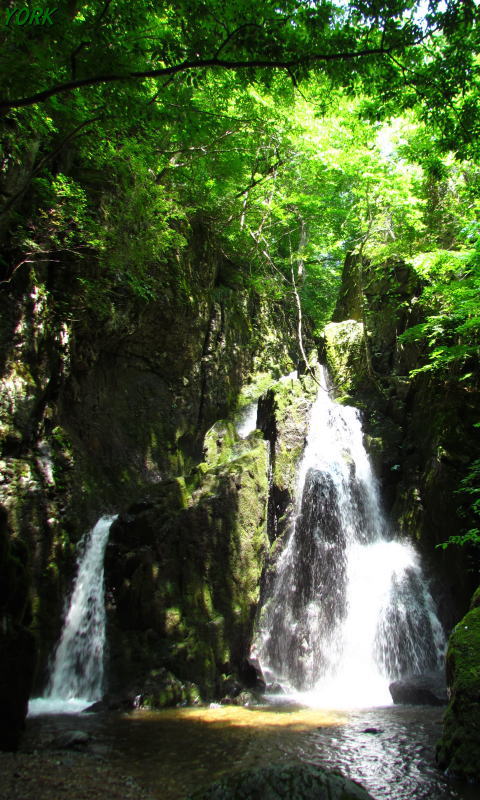 �����ѡ�2282������ư��480��800