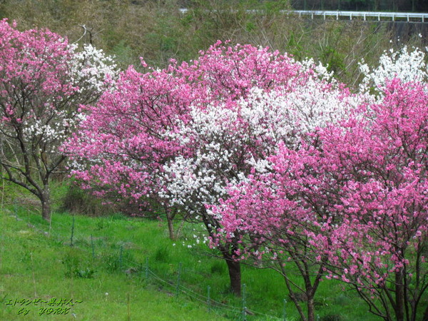 3315����170415