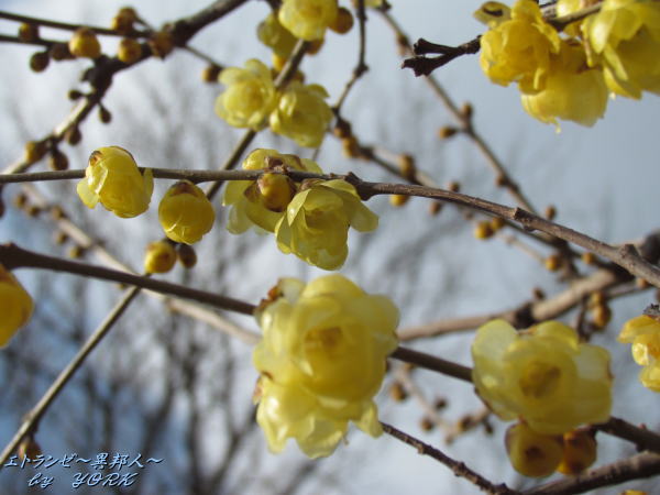 5984����������Х�130127