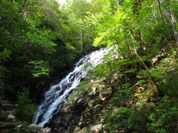 9549����¼����ʤΤ󤿤���131013