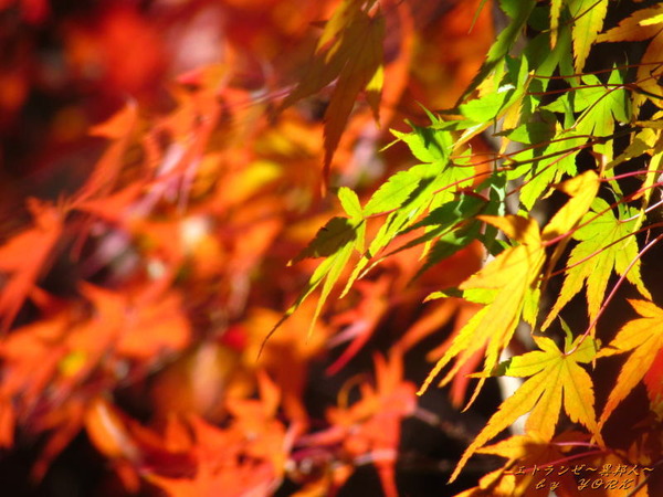 2260���դα�191123