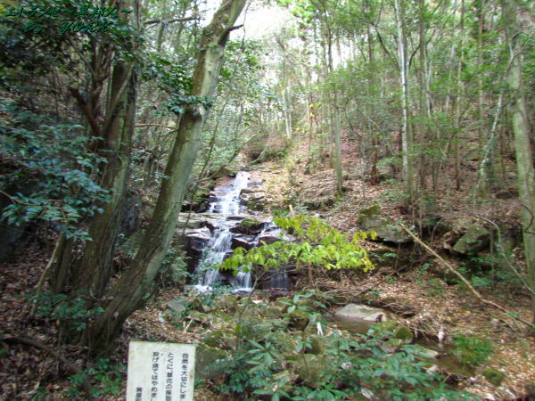 6701���Ϥ���141213