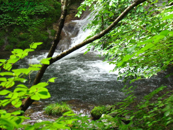 9095���ܤ����Ȫ����150620