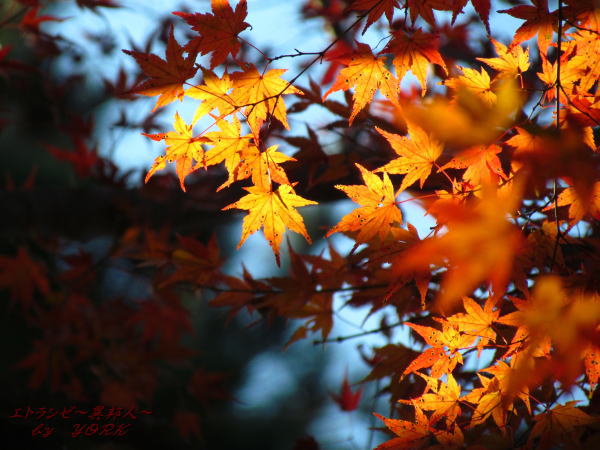 0810����131123