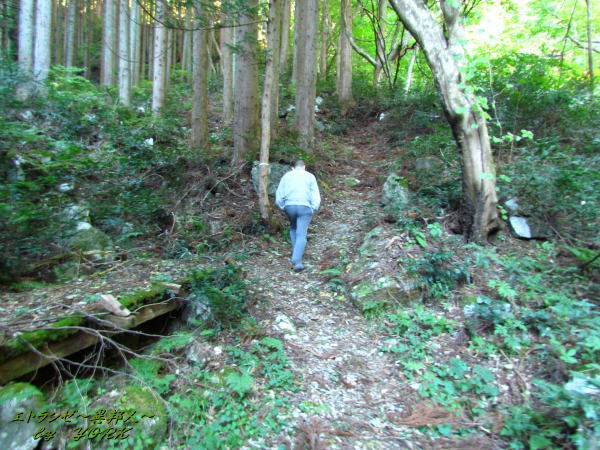 5365�����л�ƻ141019