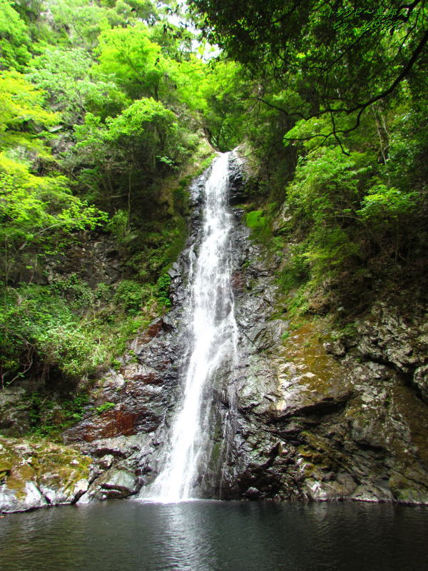 7515εƬ����130526