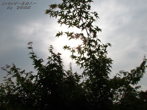 3125�ո��ǥ�ߥ�120526