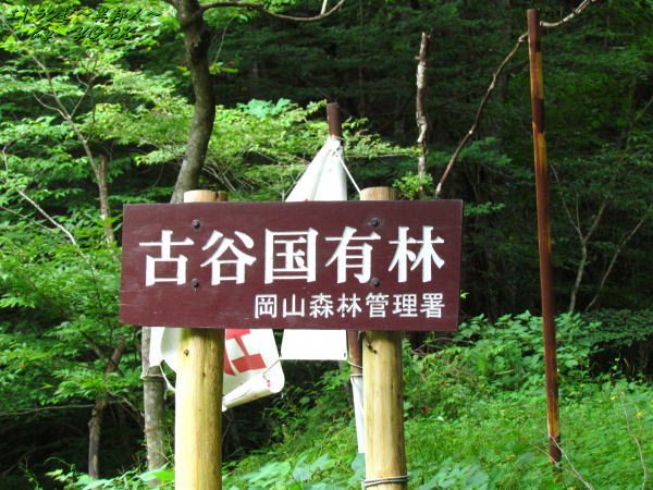 3586�ϸ�ë����β��ˤ������140906