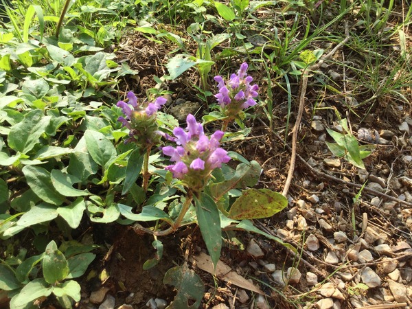 9BE3963E-145E-49A1-BDE3-EE70FCDB042E