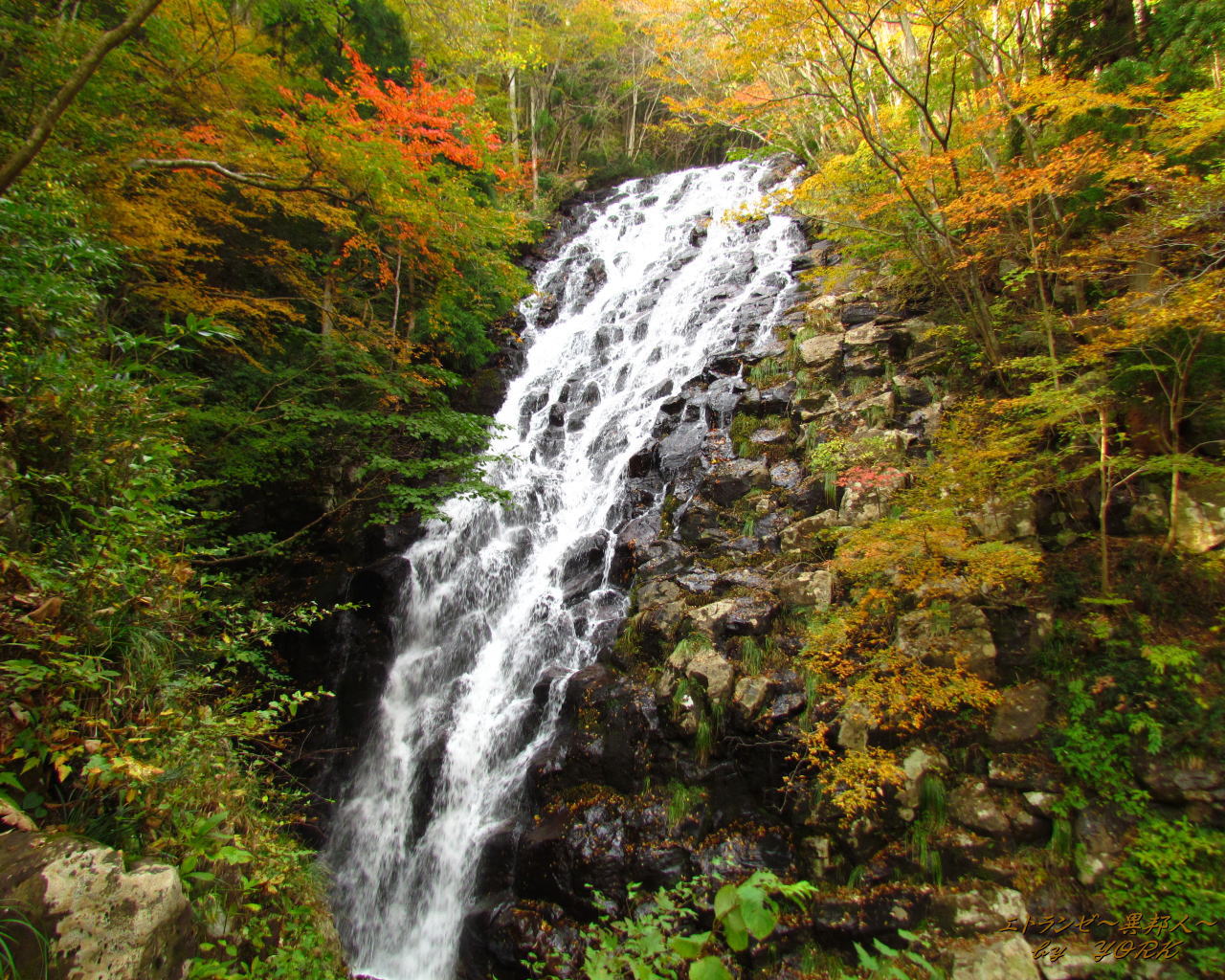壁紙 待ち受け 秋の布滝 のんだき 横野三の滝 夏 エトランゼ 異邦人