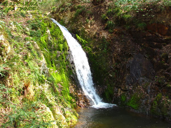 0993�Ų���ư�졢������140426