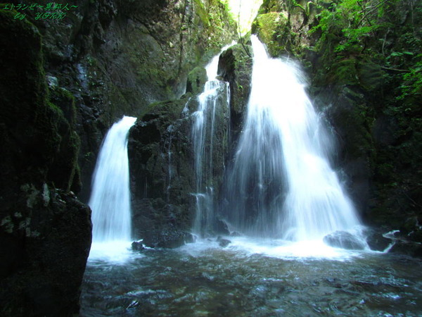 8169������ư�����¿160924