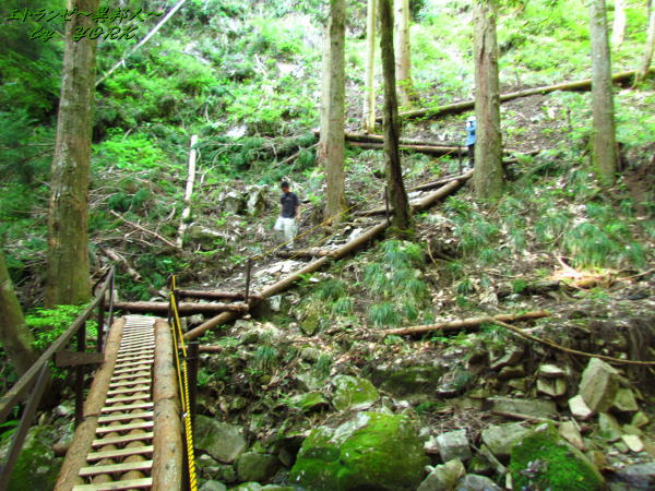 8527ͷ��ƻ����������Ƥ��ޤ���150505