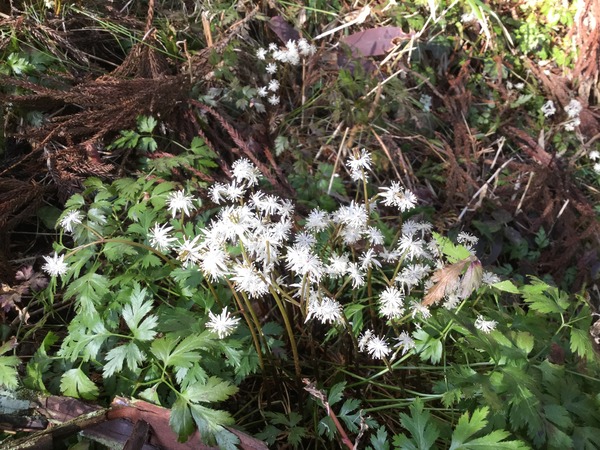 BE0E357C-2E8F-4A2B-A3B0-369684AF0E6C