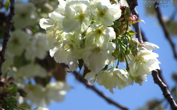 �ɻ桡6812ݵ���1280&times;800