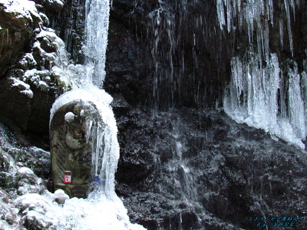 0342氷瀑飛龍の滝の龍20250209