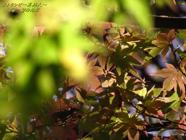 0528���տ��Ť�111031