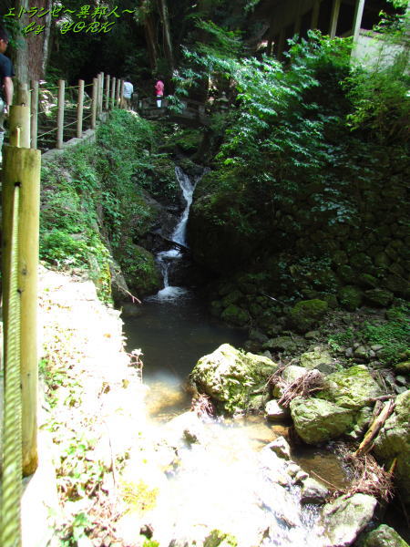 8579�������줿ͷ��ƻ150517