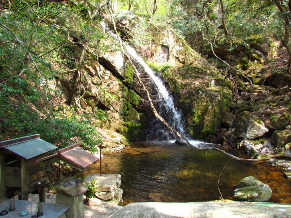 0986�Ų���ư�졢�����140426