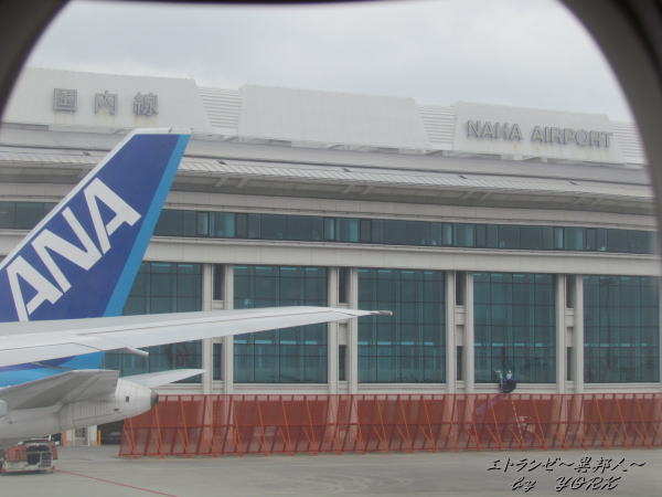 8246���ƶ���150427