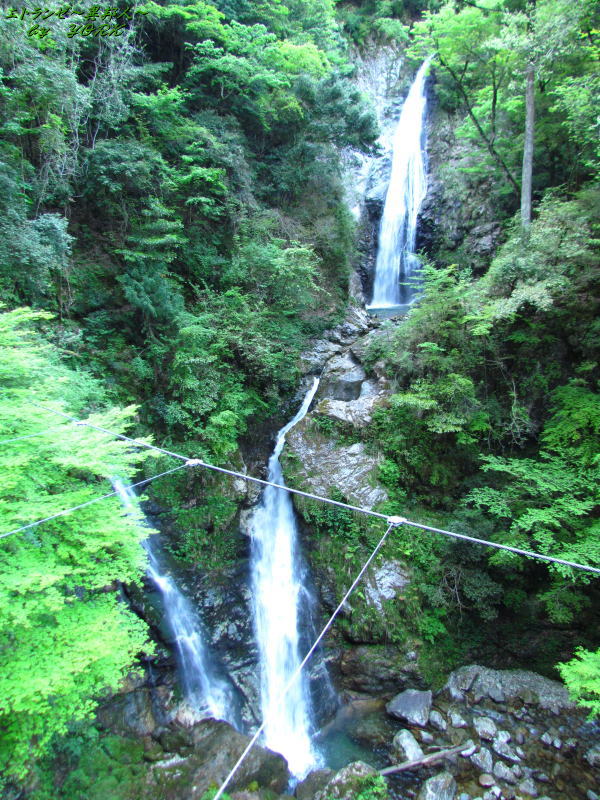 8497����ư��150505