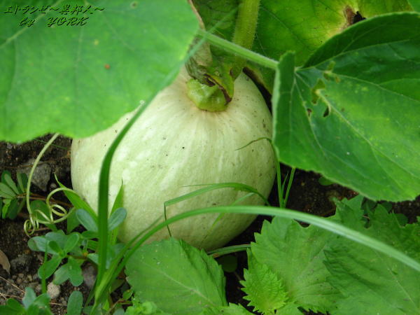 1283���ܥ���110723