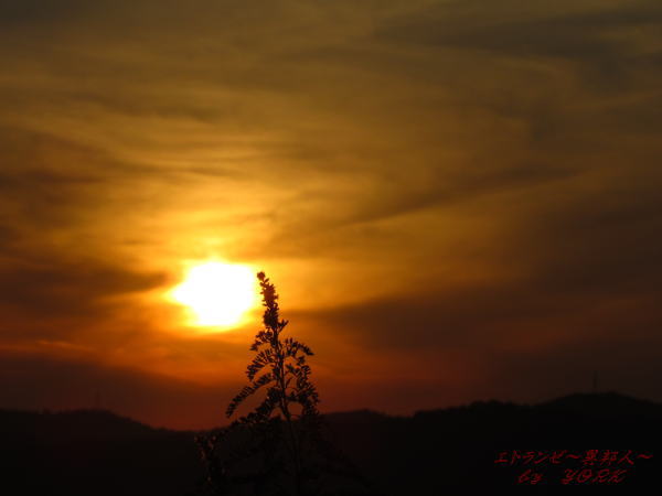 0824ͼ���131123