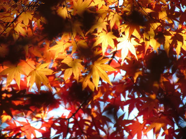 0773���տ��Ť�131123