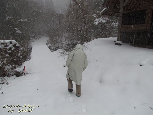 6645����������Ѥ�äƤ���141213