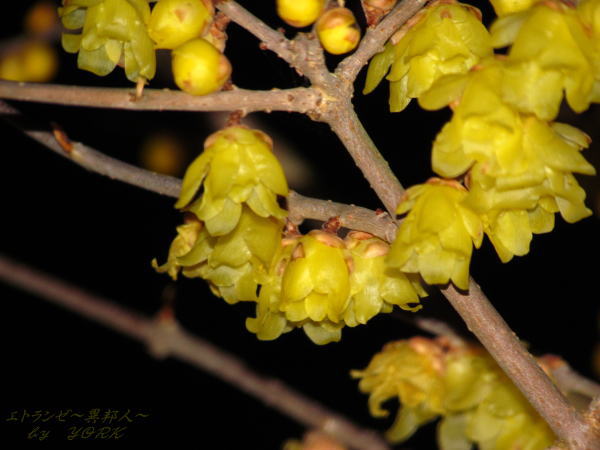 5940����Υ����Х�130112