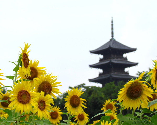 �ɻ桡7936�������ȸ޽���1280��1024