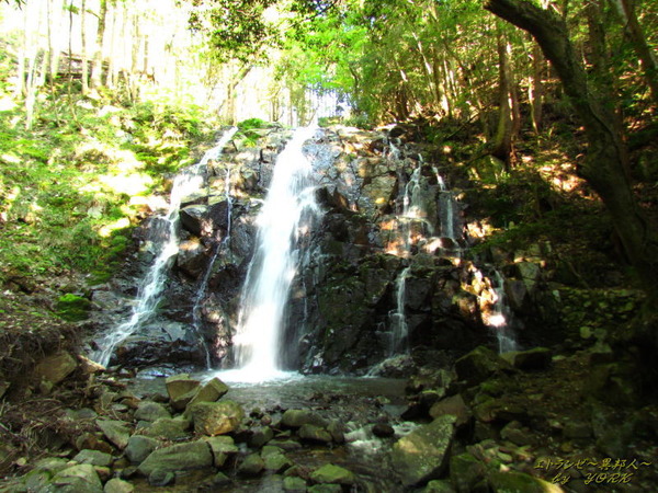 8530���ڤ���150505